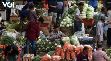 باباناس يعزز التوزيع في بابوا مع تأمين مخزون آمن